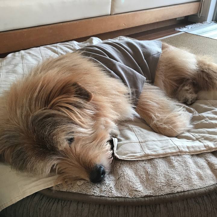 Ee375f3f 5c0a 4c78 8864 907d4c1ecadb 1646087270911