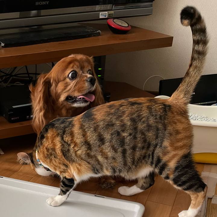 Ee37a285 418e 475f b1cf 488221282a26 1685232531260