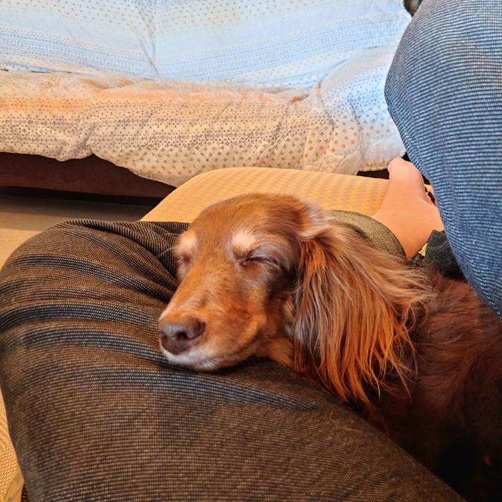 Ee37d151 3541 4148 b5cc a09e9698c9d7 1728712545253