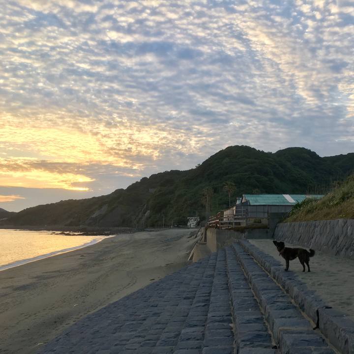 Ee37deb6 3f2b 4131 8b73 45c27f0994c2 1525662222346