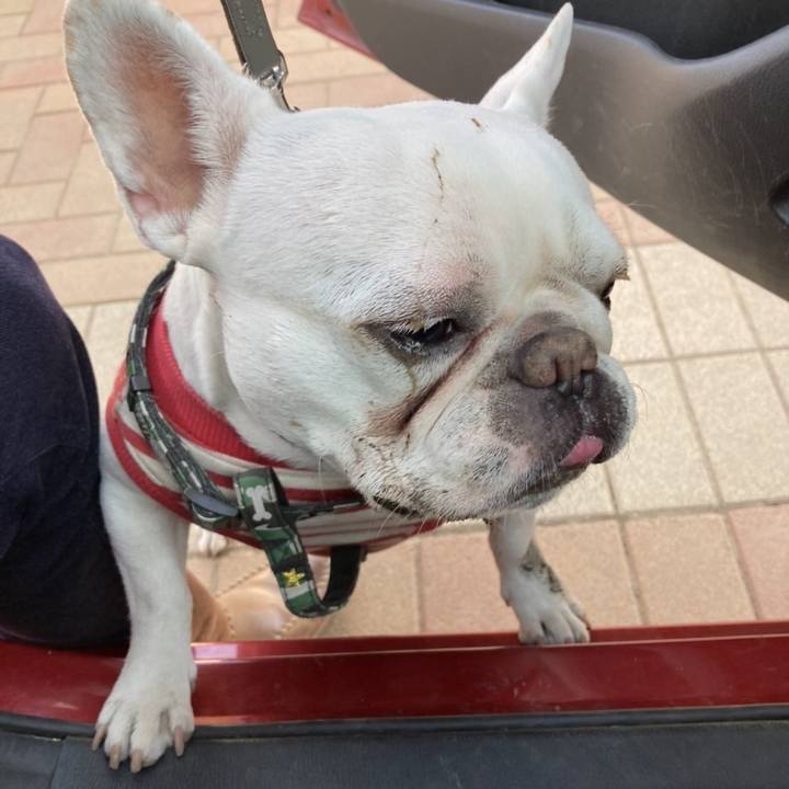 Ee383276 ecba 468c b4ec c9f13126a4b2 1644447799929