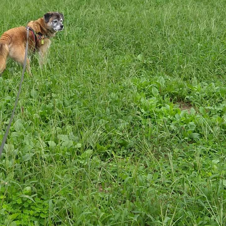 Ee384efd 2dc5 41bc 8aaa 2dd6f5b7433e 1568937520181