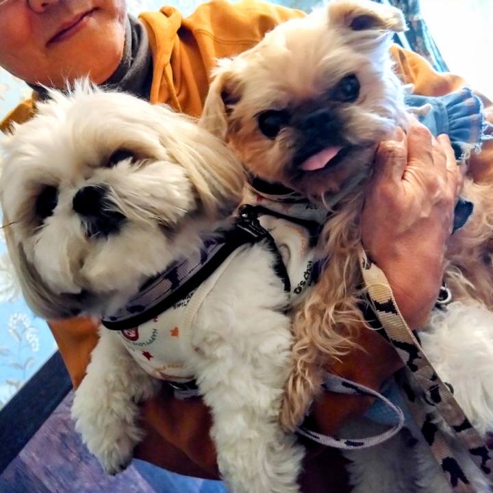 Ee389f33 1a33 4e7c afb1 3f8d3d3ef463 1703545597121