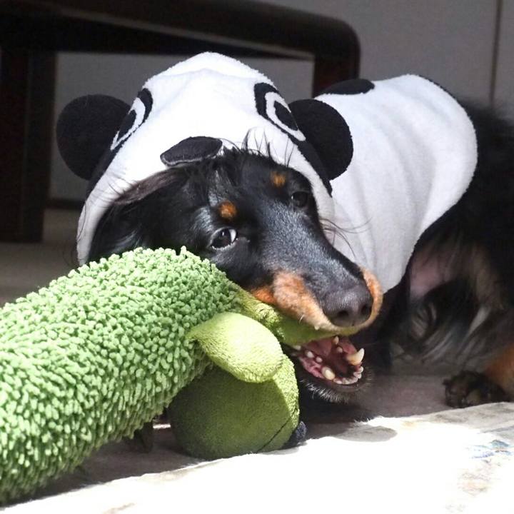 Ee392e44 c020 4ac1 b7f8 667277bc321f 1519693751224