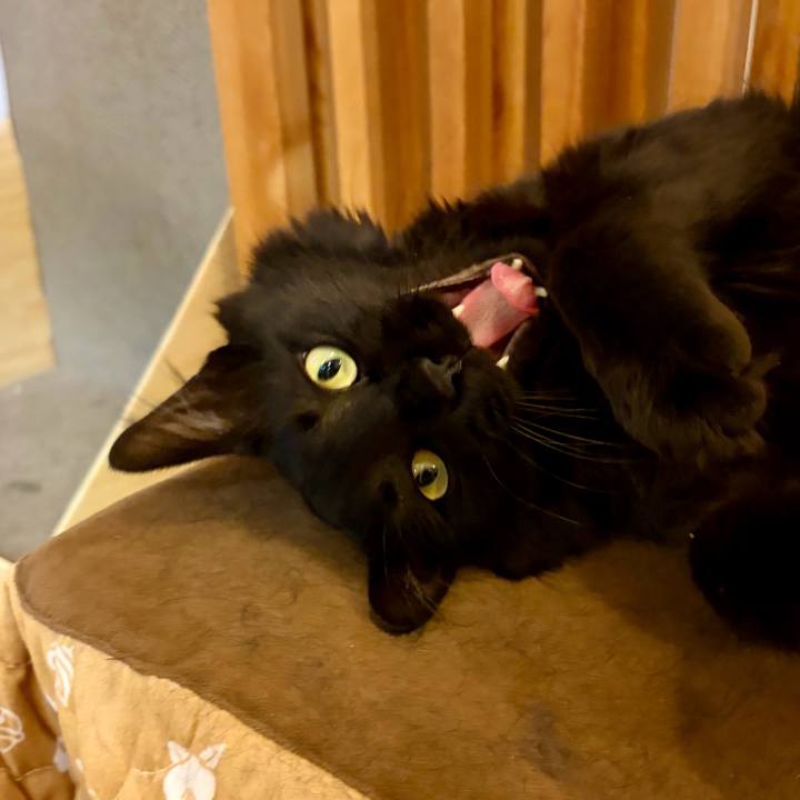 Ee393aef 3804 4a9f 8ca1 88f680e07339 1774518668024