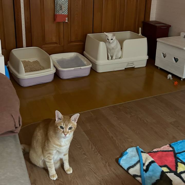 Ee393d91 8479 4734 95b8 ab8231975d87 1678284505367