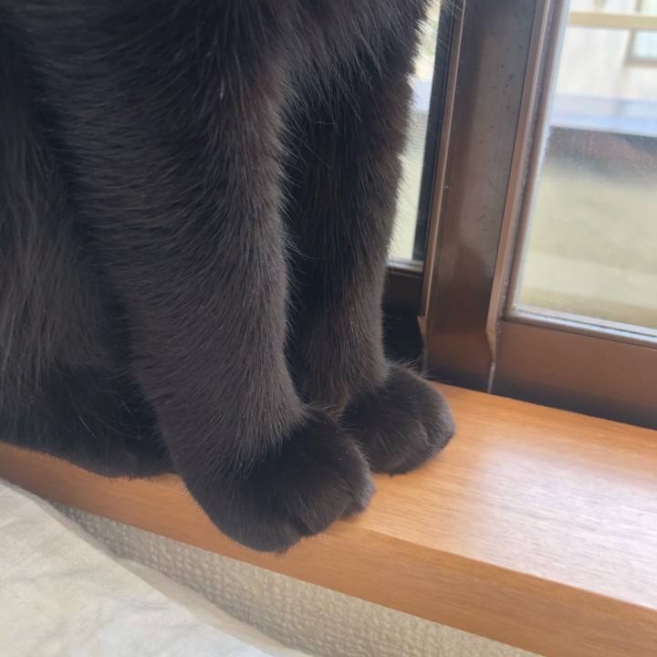 Ee395818 131c 4438 89f1 57269f51f00f 1578268223947