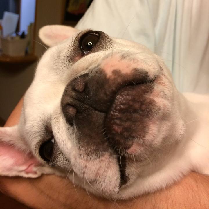 Ee3976c7 c371 42b0 b469 2085458b8680 1532867702214