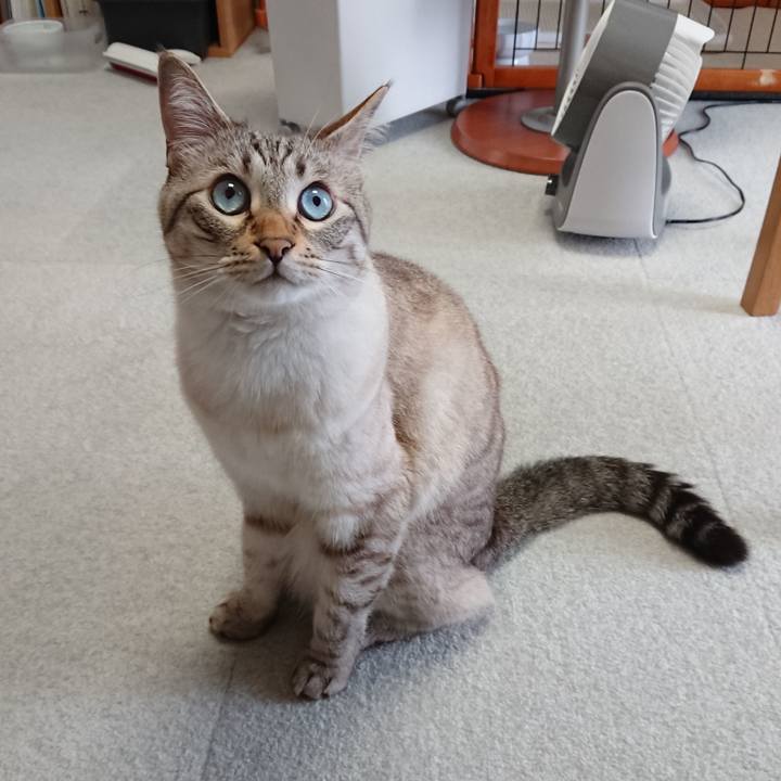 Ee397abd b554 4c8a 8faa cfeff8fdd0fe 1559980474235