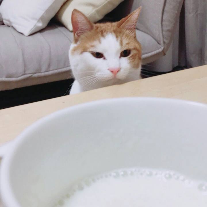 Ee398cc4 904f 45fe b8a9 7d88117542c7 1516460439588