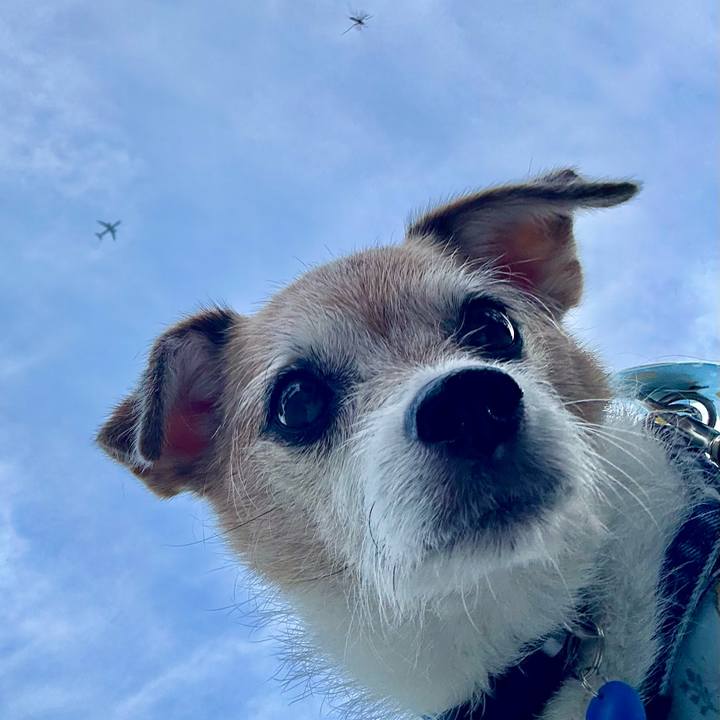 Ee39ab3c 6729 43bc 9a2d c362ed0066ae 1697709605273