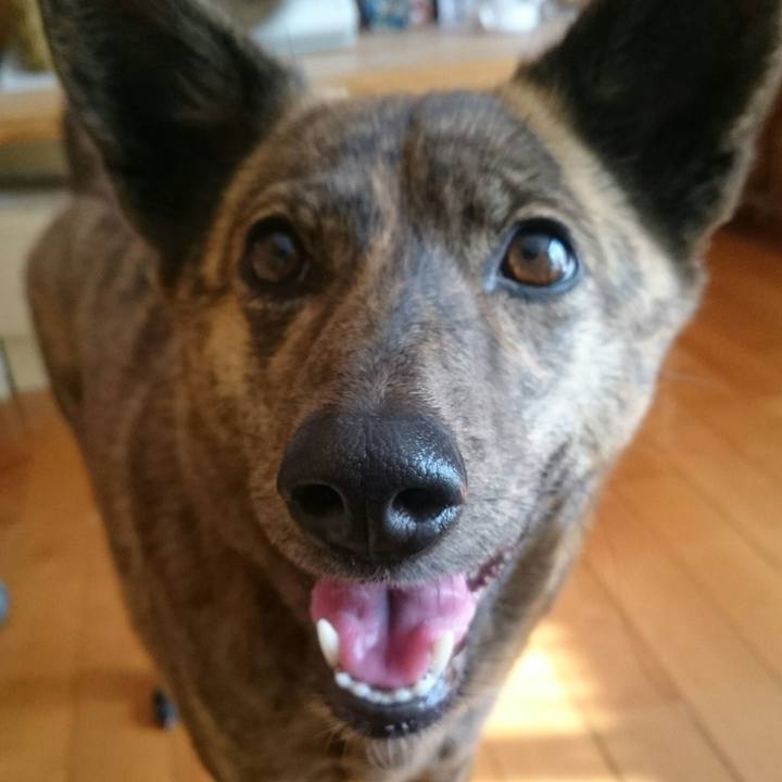 Ee39b451 0018 4812 9db5 aae19b35d78b 1517831258514