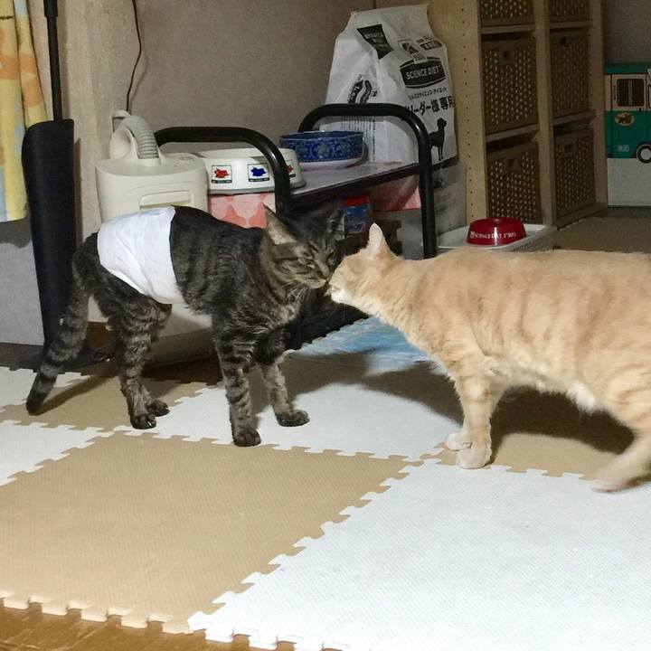 Ee39c1d3 3b81 41be a526 89b844113c90 1534503406589