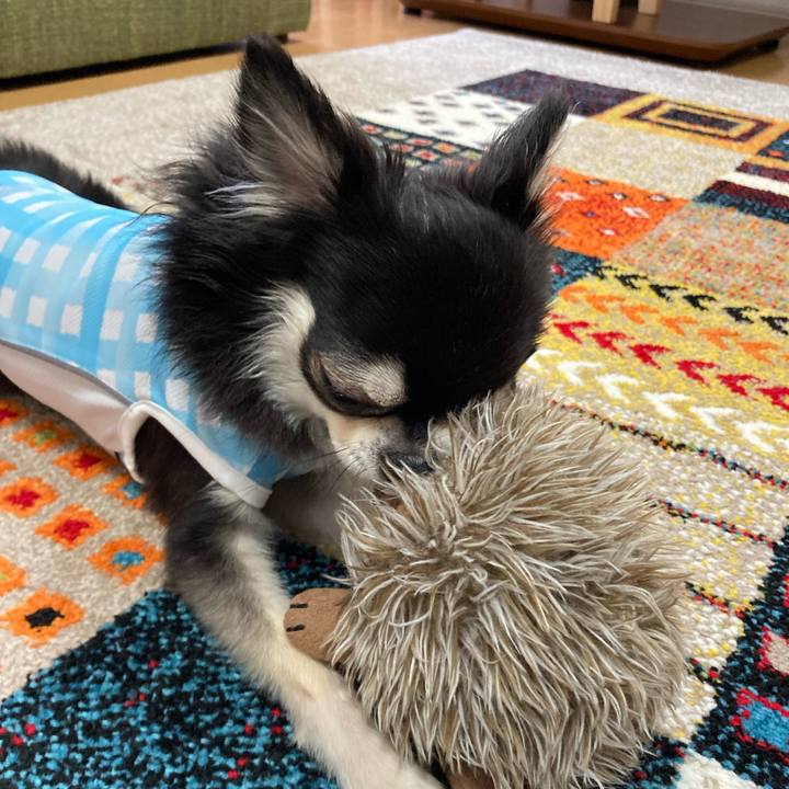 Ee3a1e9e 0916 4689 a20f 15f26e206d84 1686496497364