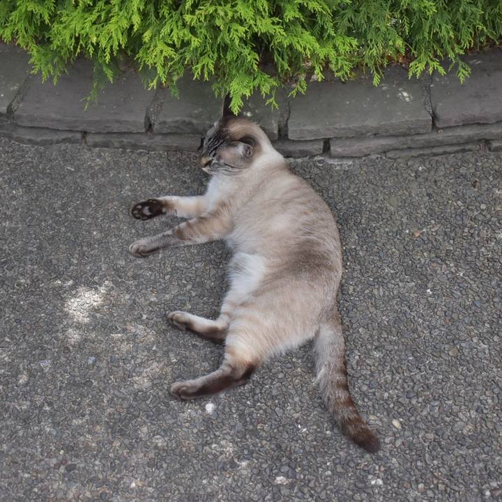 Ee3a2173 d5e7 4774 8d66 9c33fb3b39bb 1528776138805