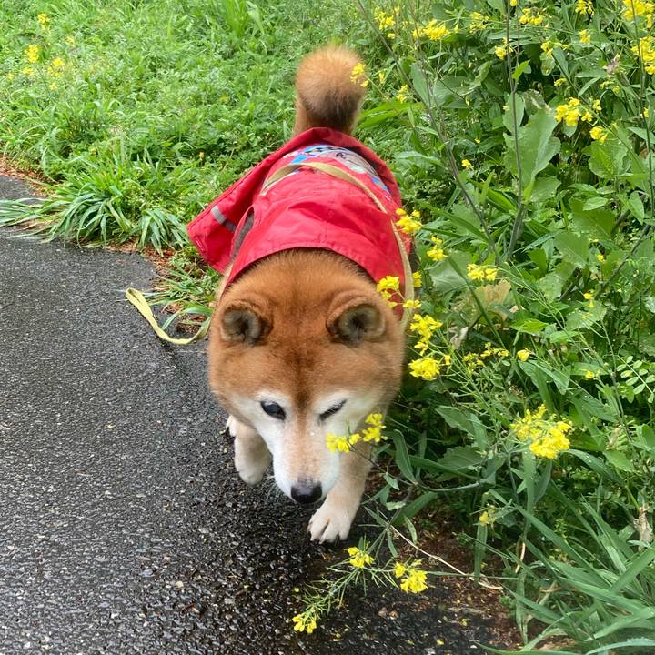 Ee3a6feb dfea 4223 b8f8 b7c566f97c12 1681535276483