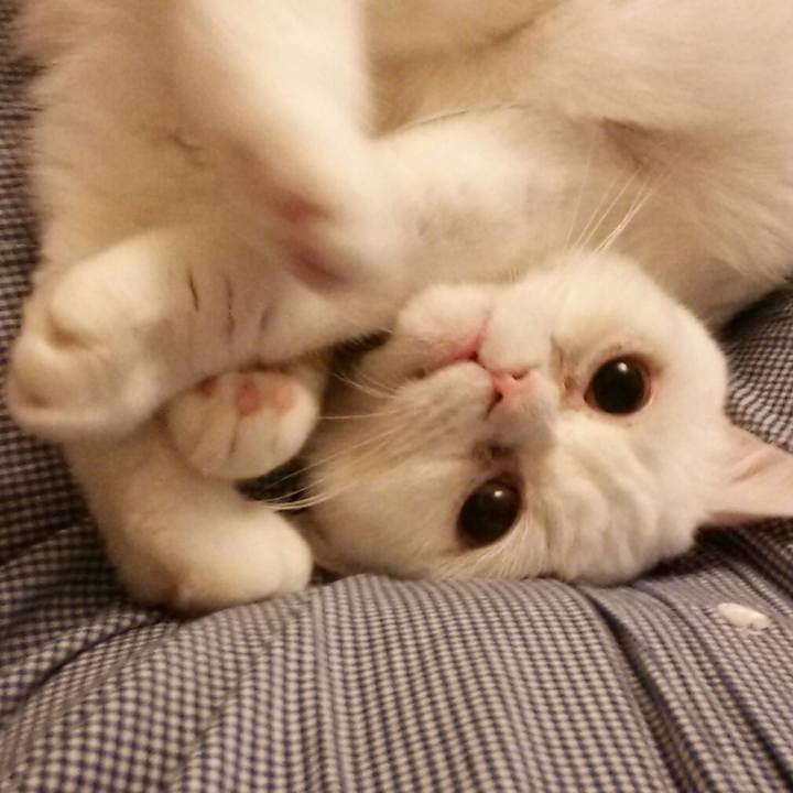 Ee3a82fd 2c7e 4e8c a1ea 5d12075cddfb 1522414871035