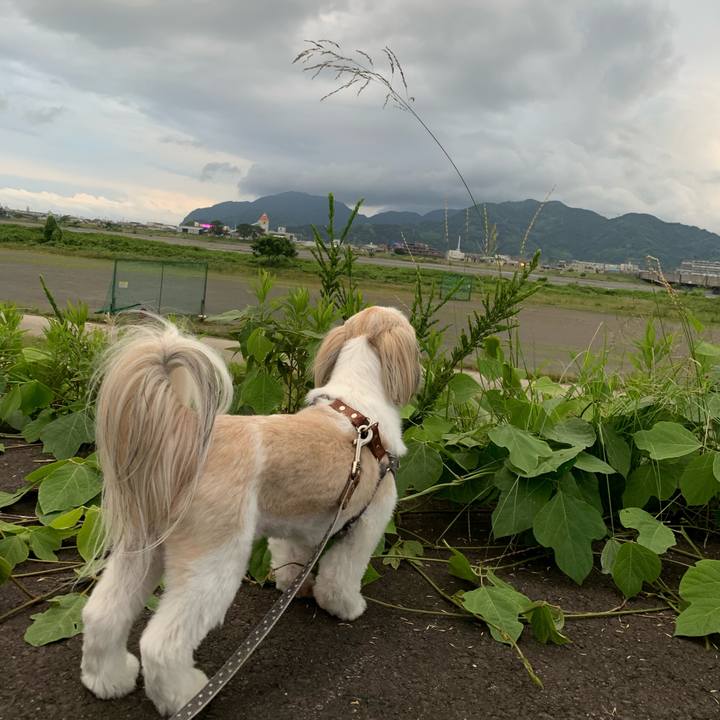 Ee3abc51 5c7b 4e82 b744 35713113f2bc 1592991376265