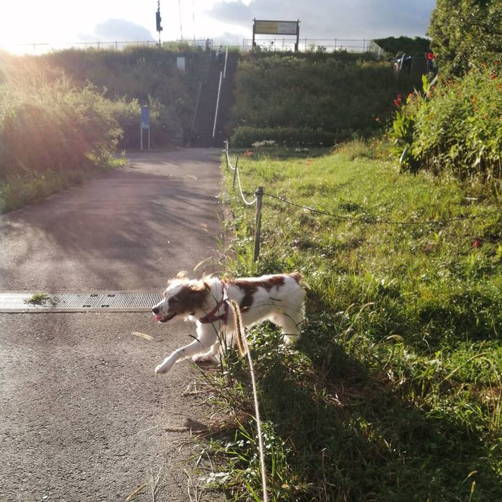 Ee3acb56 7569 4afa 8729 1b0616394c52 1631964013104