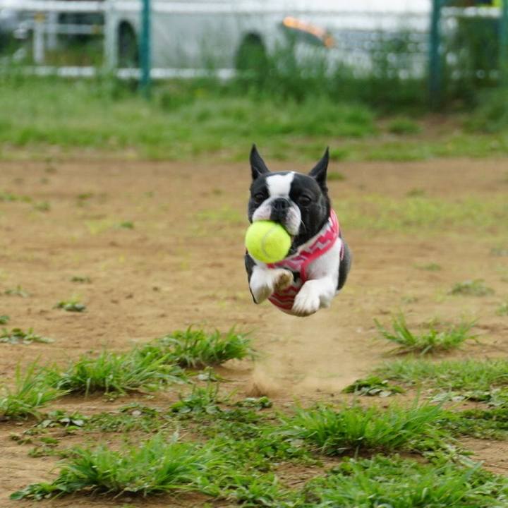 Ee3aeae5 aebe 4d24 a8eb a028b9bbd77b 1556449452920