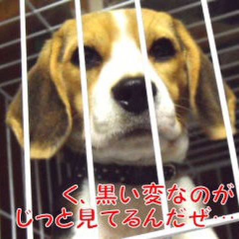 Ee3afcc8 12dc 4365 aa6a f5af4a15a989 1679789956174