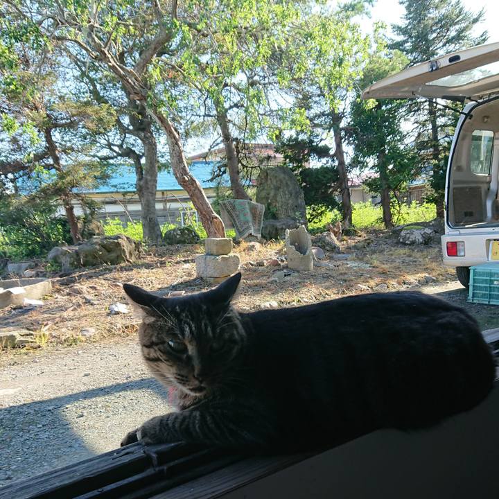 Ee3b0575 a6a5 4cdf b27f d5ecc874d14c 1662274951672