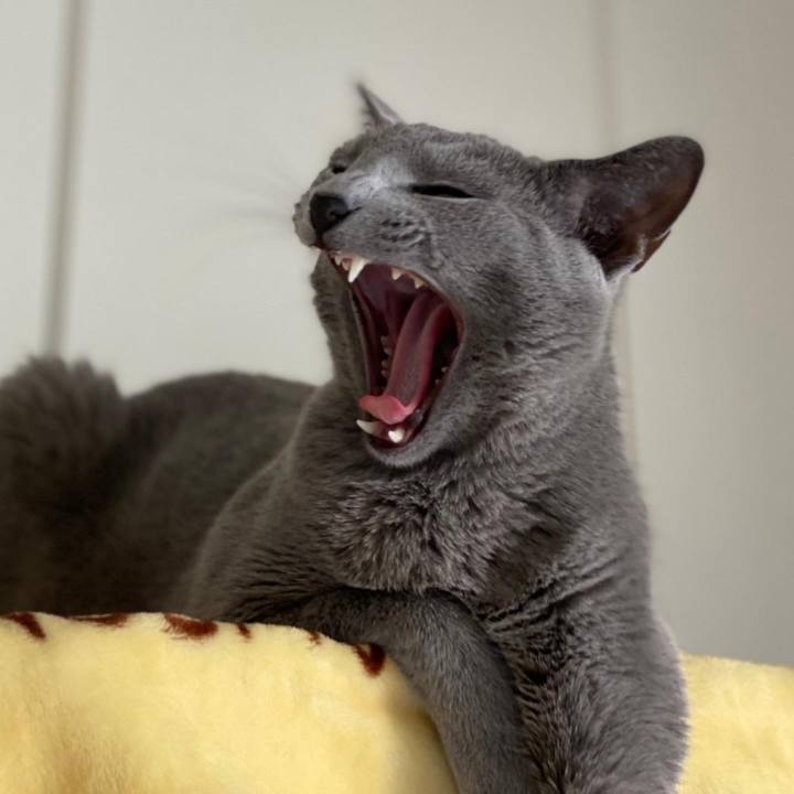 Ee3b05d8 03c7 423d a51d a16f55847a63 1651993976099