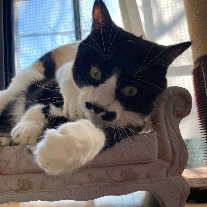 Ee3b1518 6be8 4634 a994 4475be229d56 1674950874395