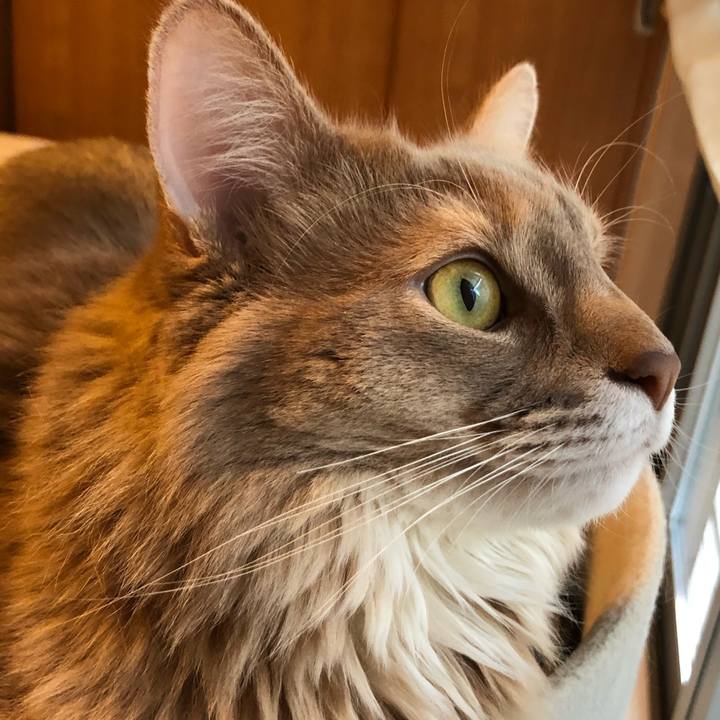 Ee3b2bf6 fcc2 4247 92c1 c29b91905eac 1615001814999