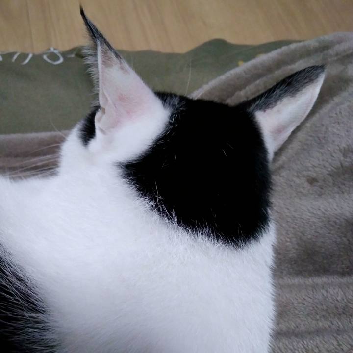 Ee3b6836 0d79 4a66 a7ff ef6ae4eade96 1541077399623