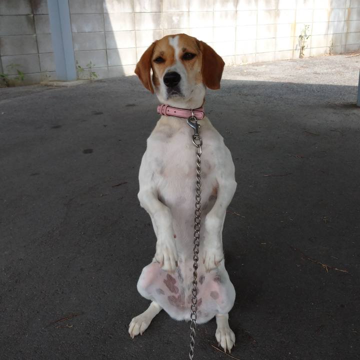 Ee3be491 a46b 4a15 837a e5a100717d1f 1596611880644