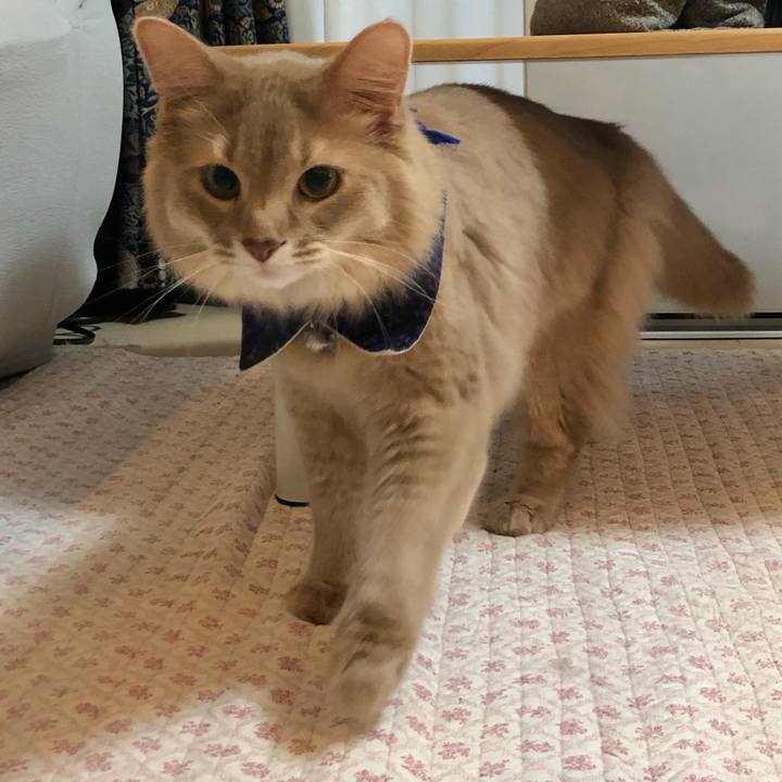 Ee3c1727 0209 4394 98dc a71eaa914df7 1650587793531