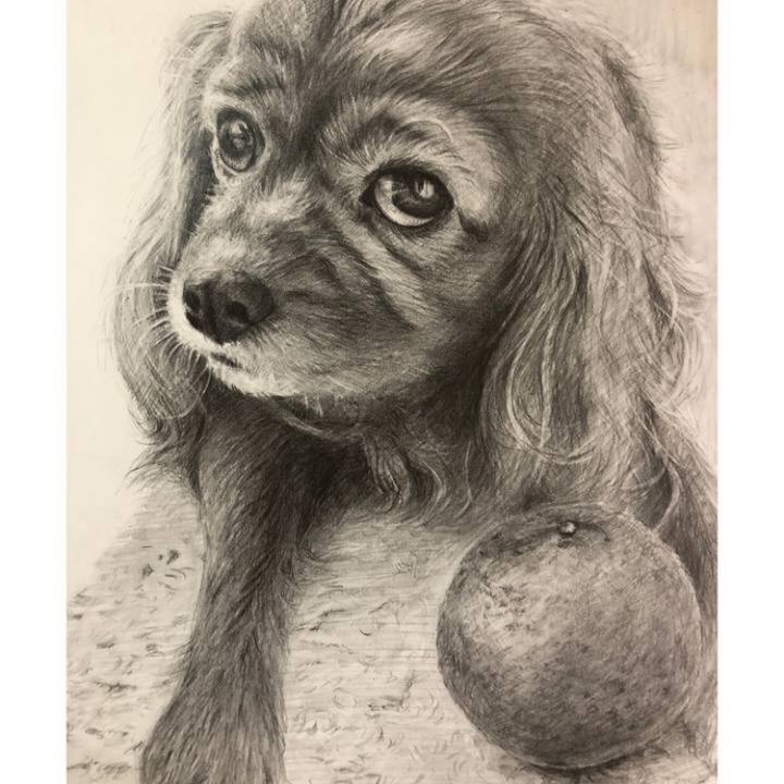 Ee3c3dfd 7847 4417 8cc0 8043a5c49057 1647008250508