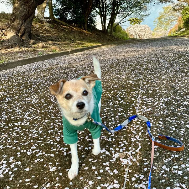 Ee3c4828 0bac 41a9 8290 99b01f1d9511 1680170485907