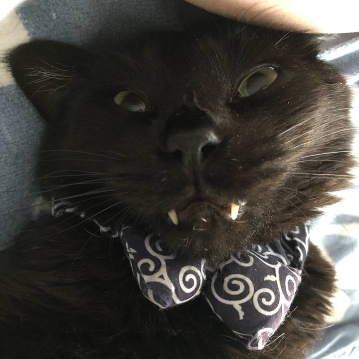 Ee3c62d7 521b 44e6 a261 ec68e061eb34 1581718051549