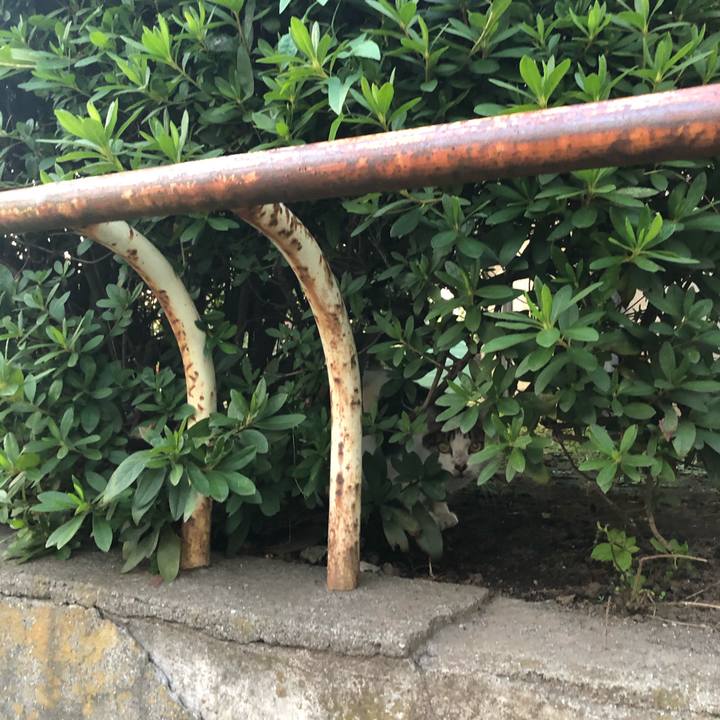 Ee3c9322 7f6d 4e7f 9bba e0c69423ce6d 1572732330127