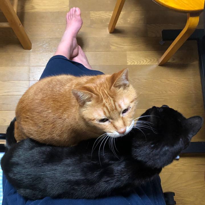 Ee3ca0b8 2e86 460b a24d 4cc261082d61 1734868284364