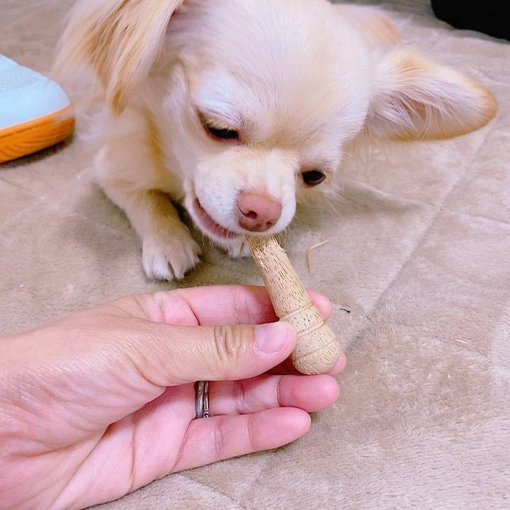 Ee3cb176 7281 4bd4 a878 9e4d023511fd 1620217468276