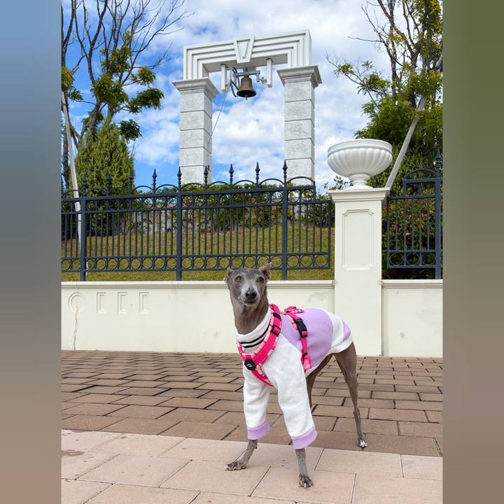 Ee3cc3e7 8402 471b bf2f 7ab54030701f 1763120280606