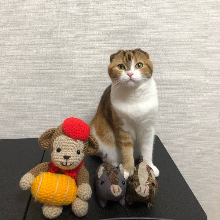 Ee3ce848 c77e 4df9 90bf 54edb1755d03 1549704961302