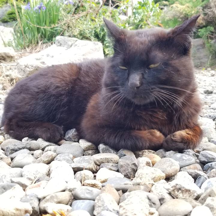 Ee3ce9a9 e106 47ce 93b0 68747620d52f 1686235825930