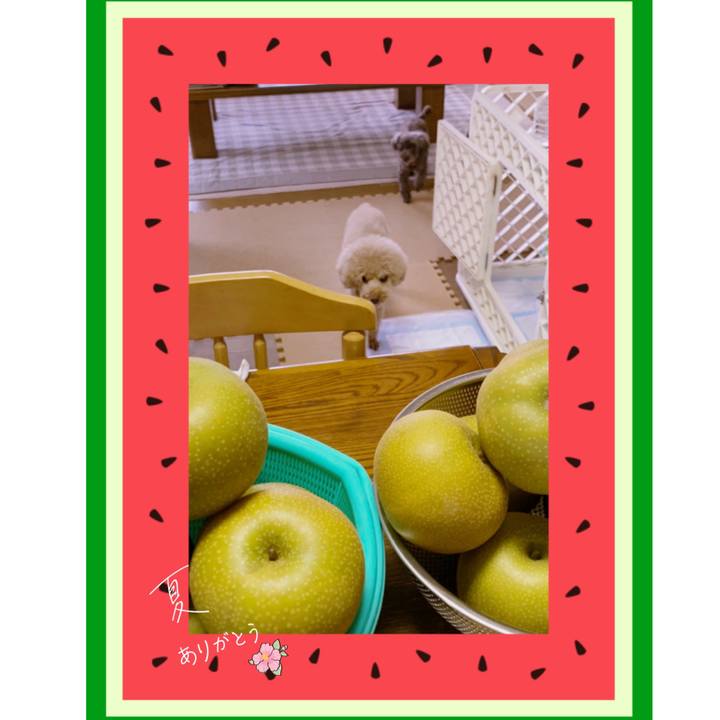 Ee3cfe89 117f 44f1 8421 ff9559018926 1598147366686