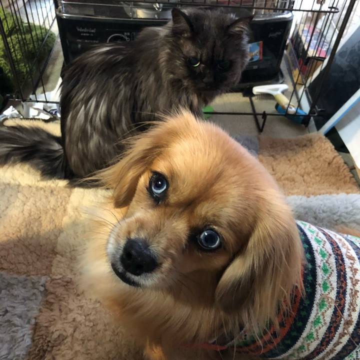 Ee3cff62 6f04 4e13 86d5 dd9e7e79c833 1548799446602