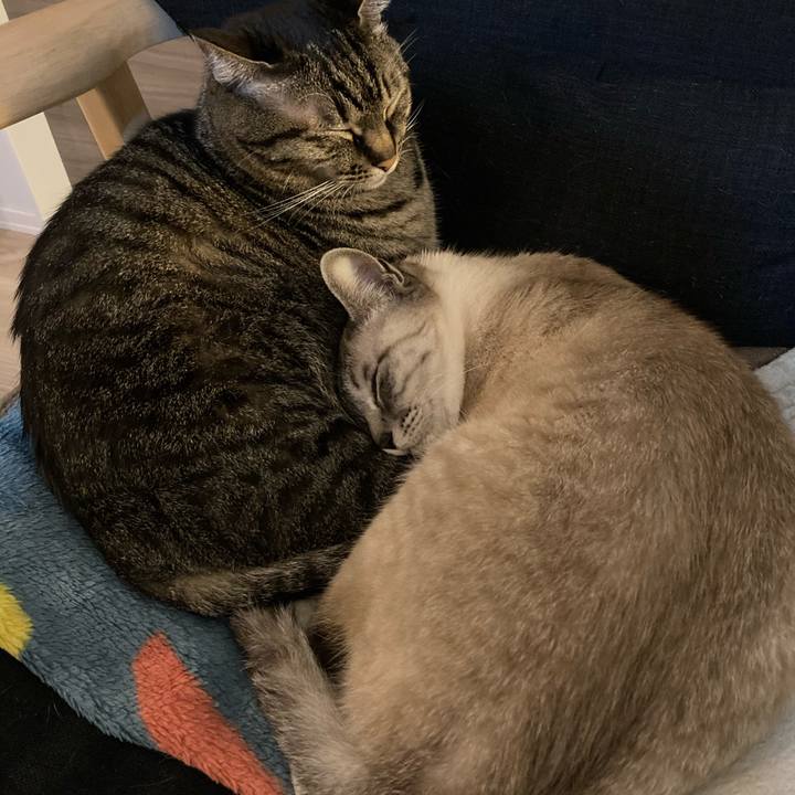 Ee3d1f69 2159 4970 8c49 adfb64f5e49d 1615802890350