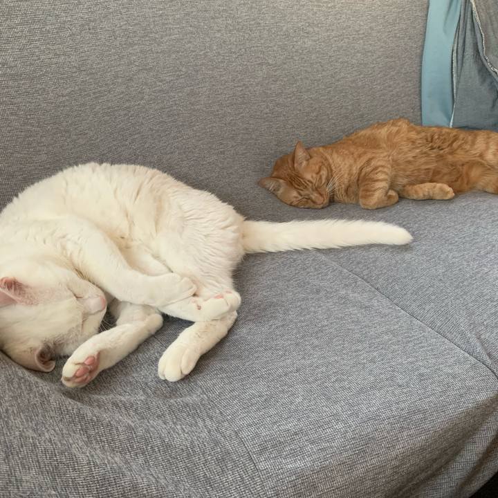 Ee3d4502 efd0 4598 8def 383d43b1b238 1730591261821