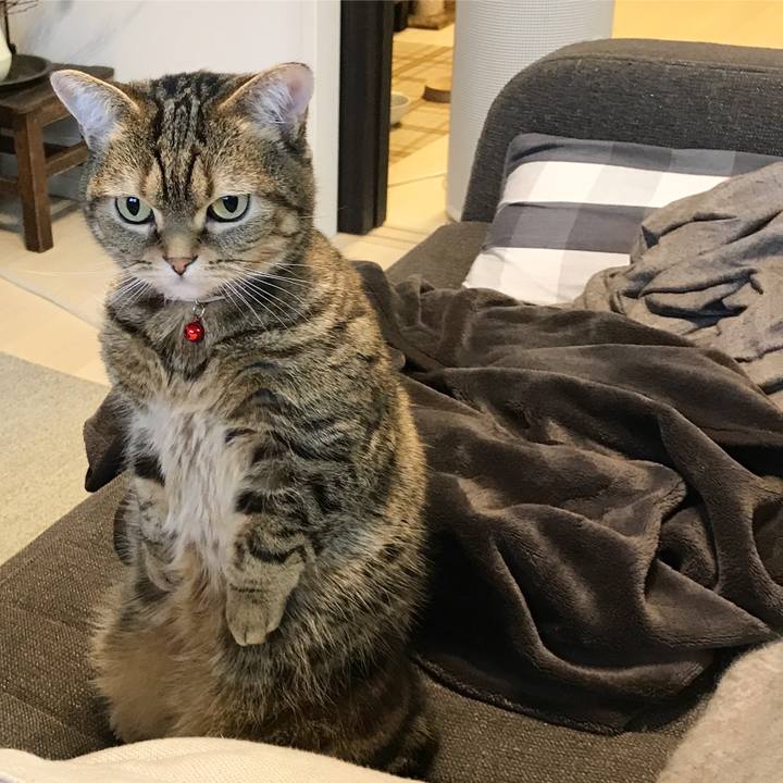 Ee3d4c4d 4a06 4c3f 8ddf d2448d769420 1516601468094