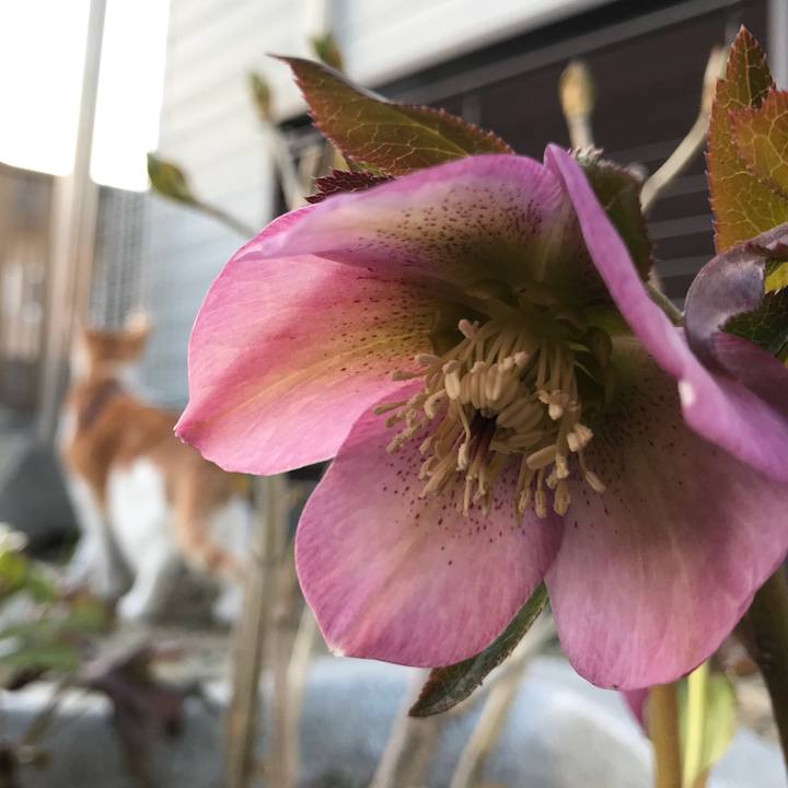 Ee3d561b aabb 448b a85c 9bb025ac0818 1521792603196