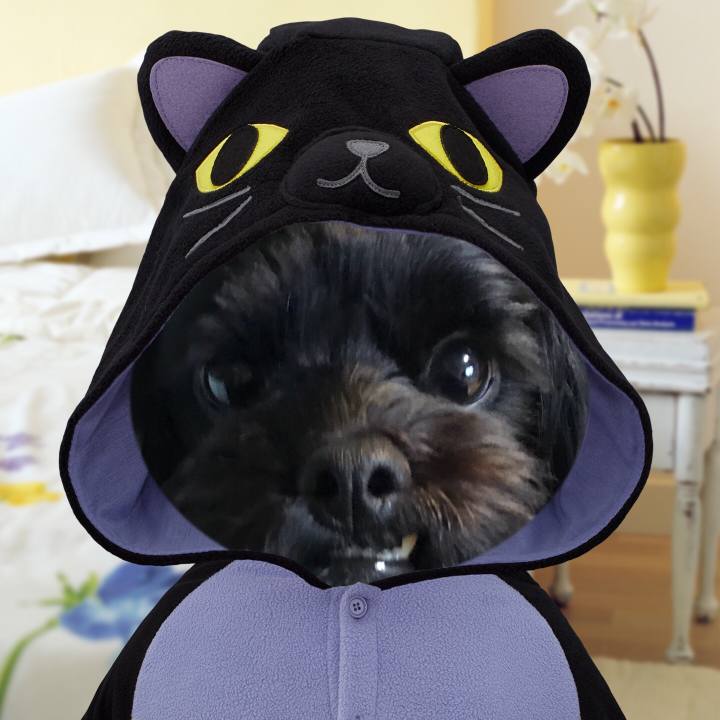 Ee3d5887 00ac 4453 86c8 ed59c568ac8e 1509112736266