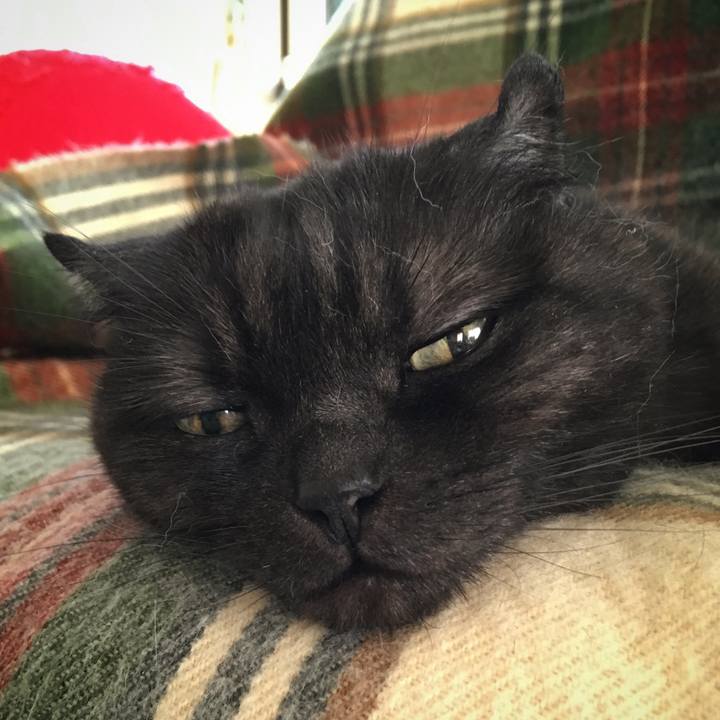 Ee3d8a23 2ed4 469a a267 ef244879cab9 1527944672238