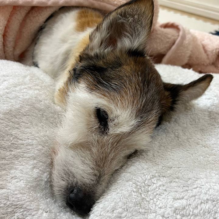 Ee3db31f 2e77 4006 8a7b 3f794c06bf06 1761212376520